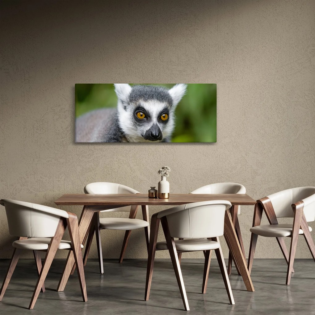 Tablou cu lemur (120x50 cm)