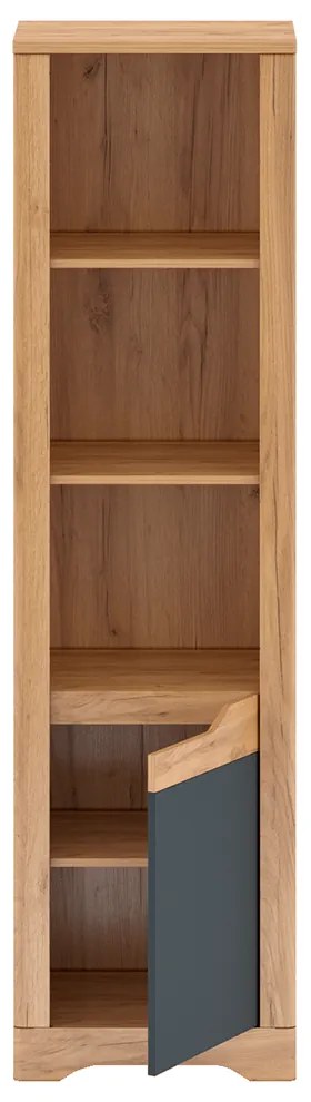 Raft deschis, stejar craft auriu / gri grafit, dreapta, FIDEL R2