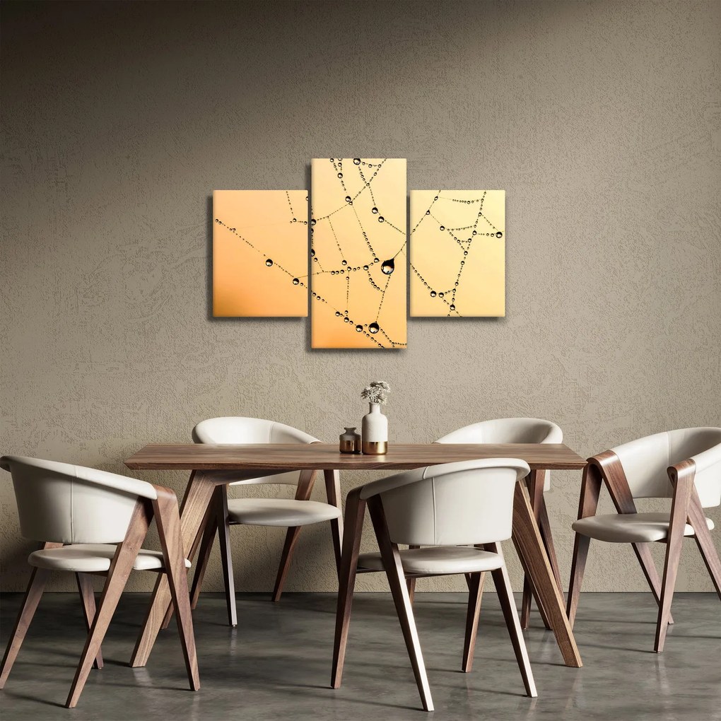 Tablou cu pânză de pâianjen cu rouă (90x60 cm)