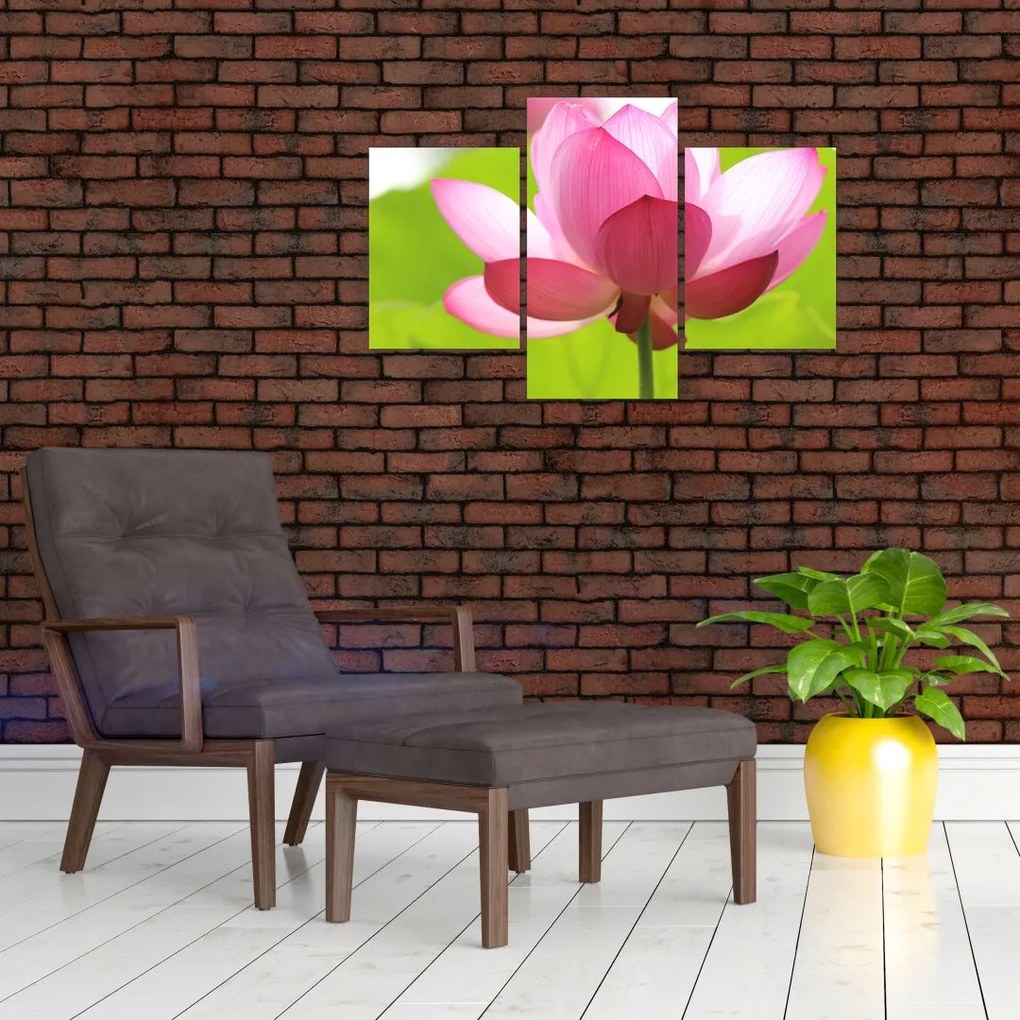 Tablou cu flori de lotus (90x60 cm)