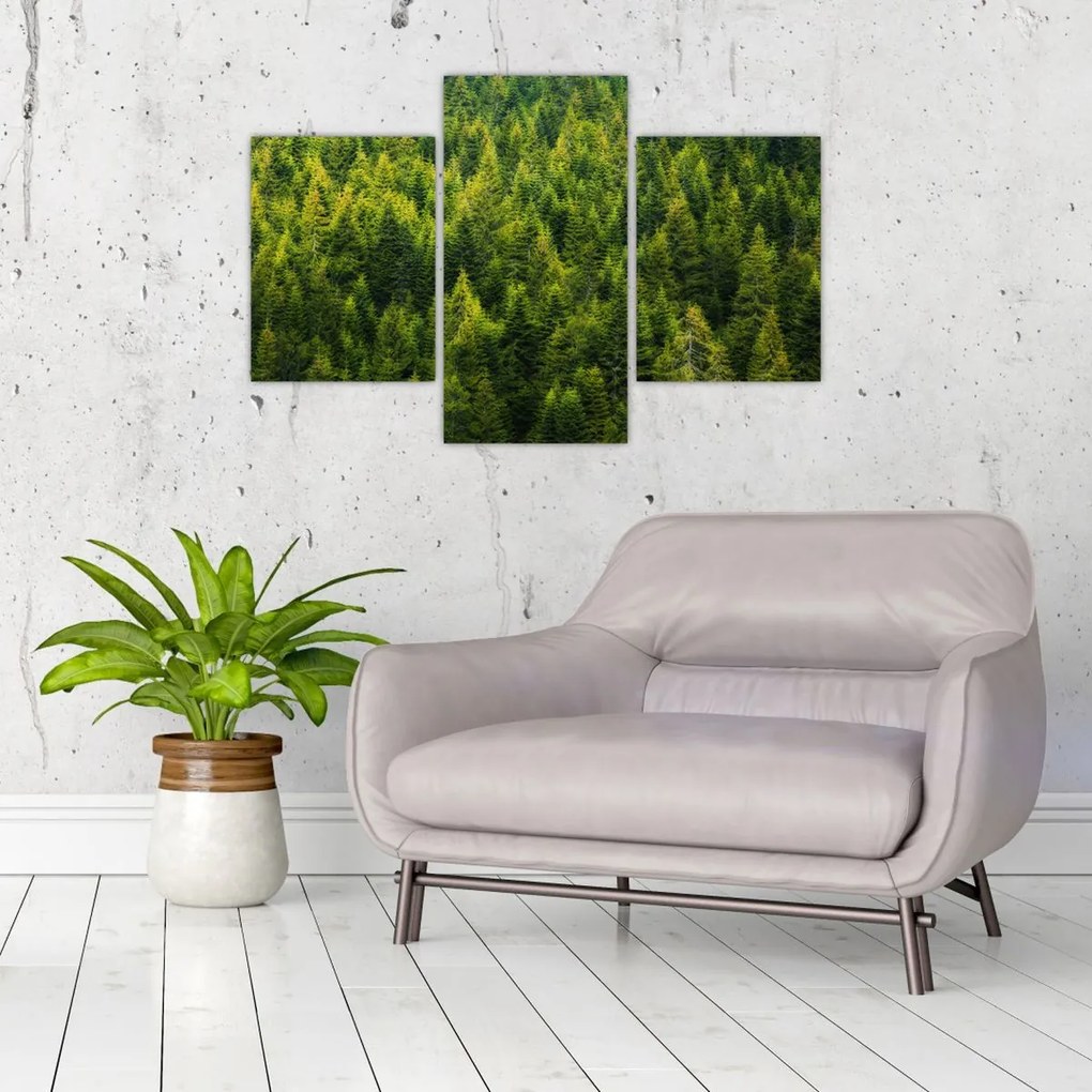 Tablou - Pădure deasă (90x60 cm)