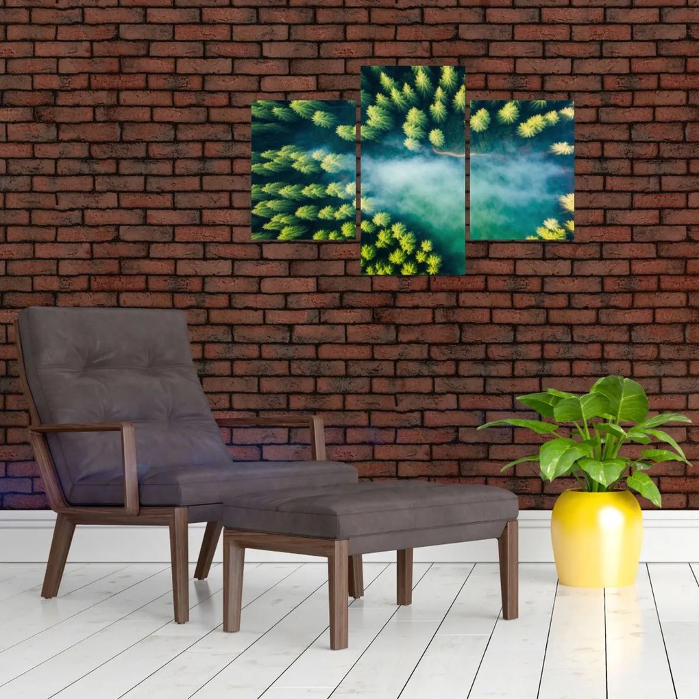 Tablou - O pădure învăluită în ceață (90x60 cm)