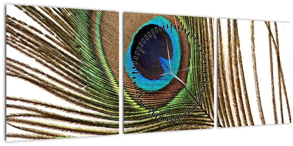 Tablou cu pene de păun (cu ceas) (90x30 cm)