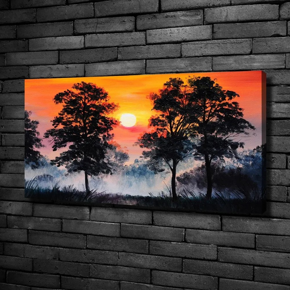 Tablou pe pânză canvas Pădure apus de soare