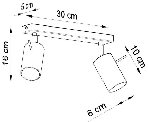 Plafonieră spot RING 2xGU10/40W/230V