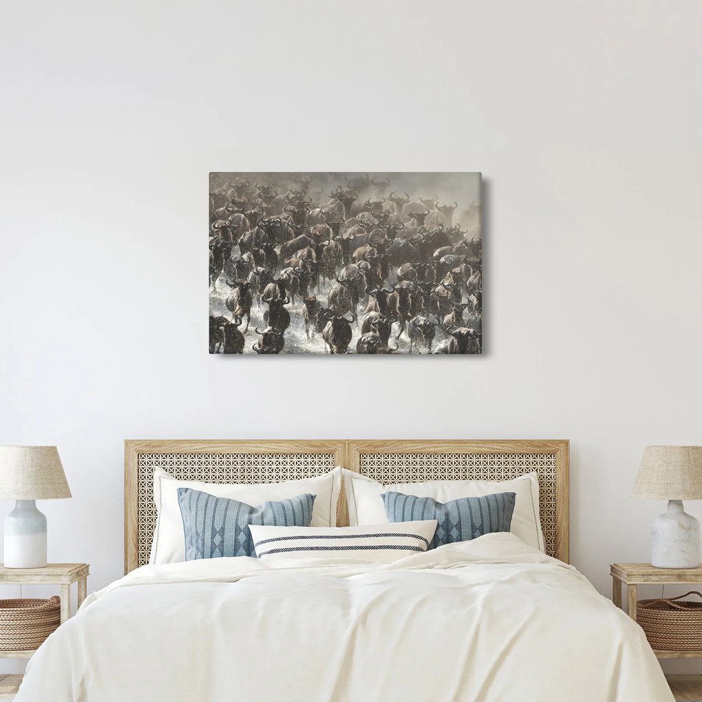Tablou - Turmă de antilope sălbatice (90x60 cm)