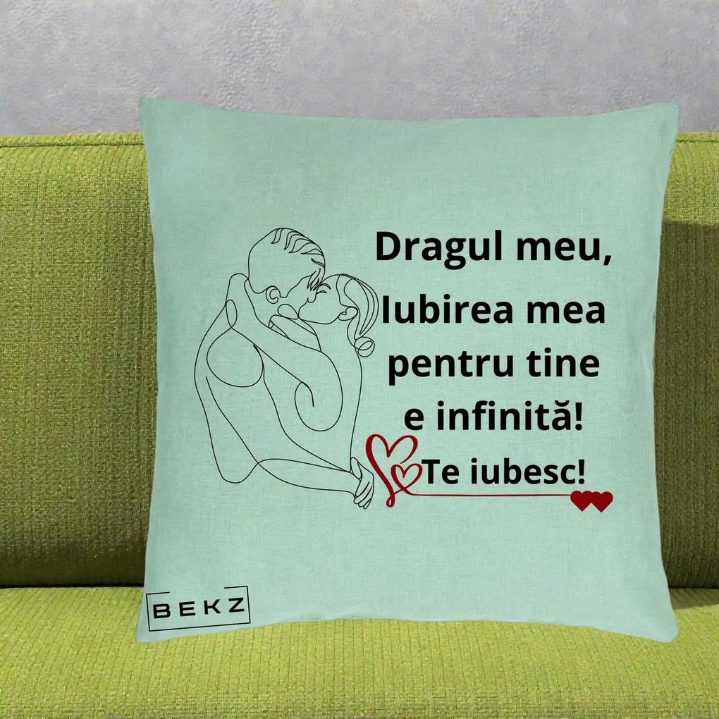 Cadou pentru Iubit - Perna Personalizata Dragul Meu Iubirea Mea pentru Tine e Infinita Te Iubesc, 40x40 cm, Verde Menta, Husa Detasabila, Perna Inclusa, BEKZ®