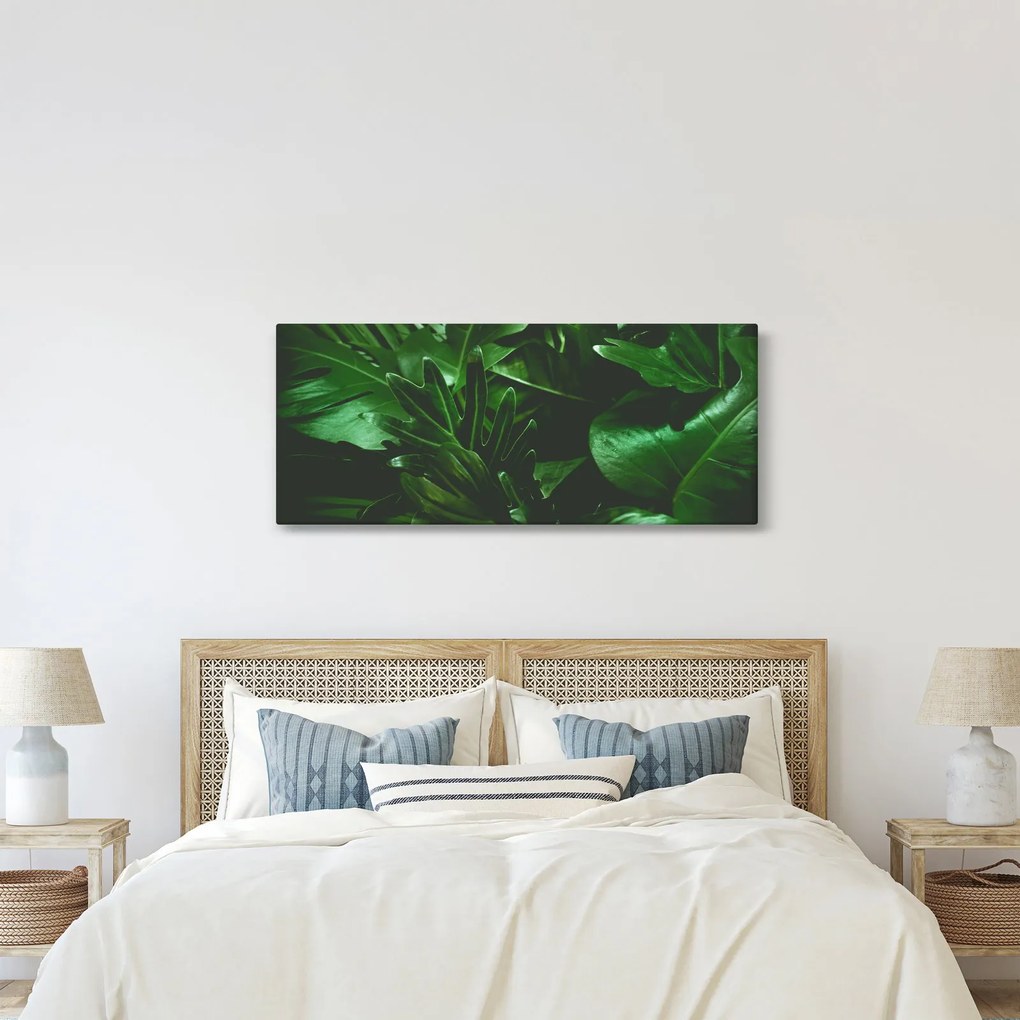 Tablou - Frunze de palmier (120x50 cm)