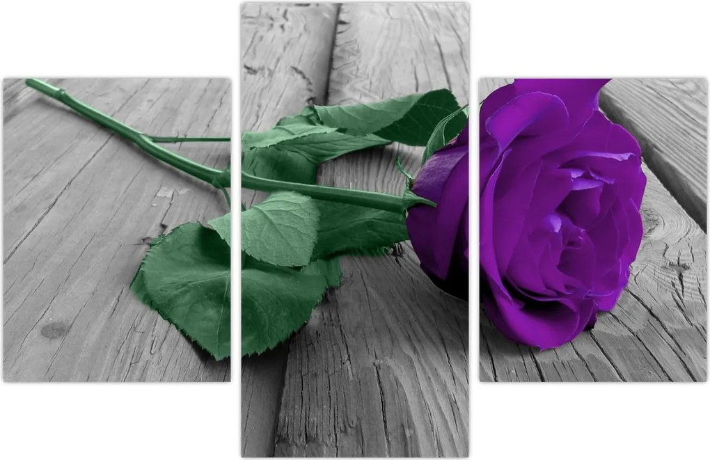 Tablou - Trandafir violet cu tulpina verde (90x60 cm)