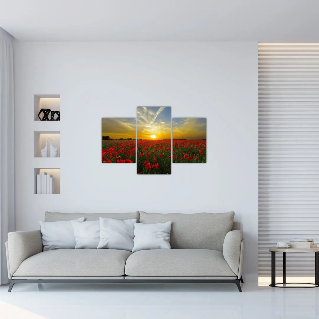 Tablou cu câmp cu maci (90x60 cm)
