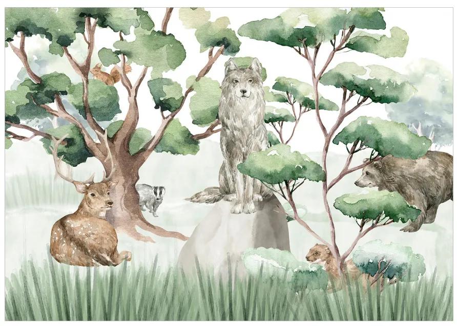 Fototapet - Animale în pădure - lup, căprior, urs, veveriță pictate în acuarelă
