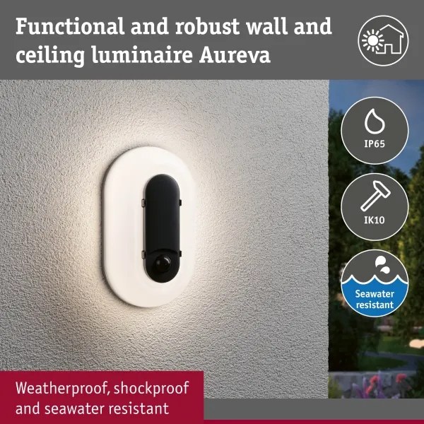 Paulmann 94958 - LED/18,5W IP65 Aplică de perete pentru exterior reglabilă ELUNOR 230V