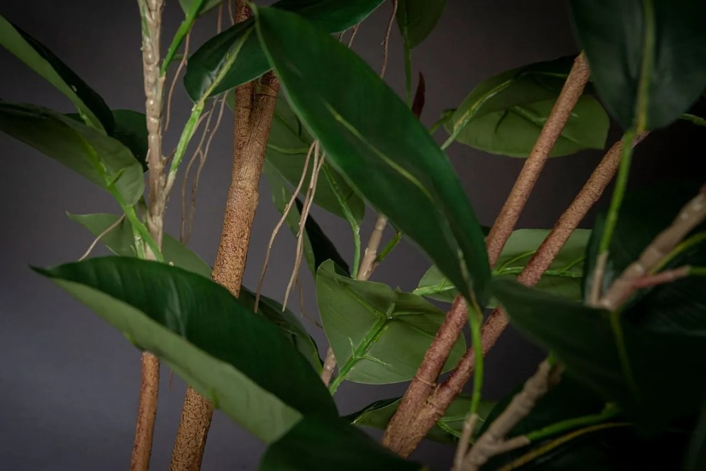 Aranjament floral mare decor festiv design LUX GOLD ATOLLO FICUS H-118cm