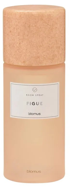 Parfum de cameră 100 ml Frabli: Figue – Blomus