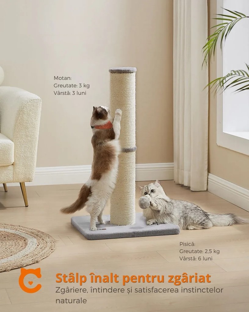 Ansamblu de zgâriat pentru pisici SIMBA, 50x40x85 cm, gri/bej Feandrea