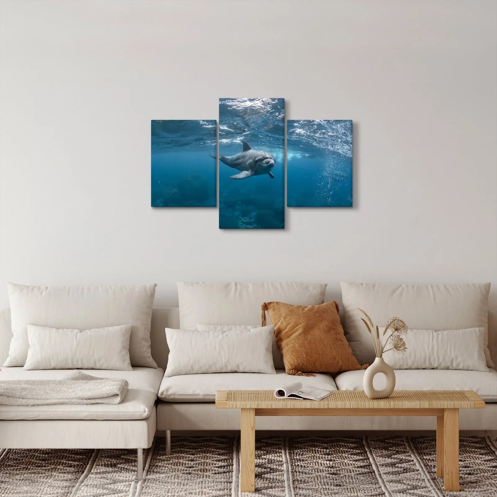 Tablou - Delfin sub apă (90x60 cm)