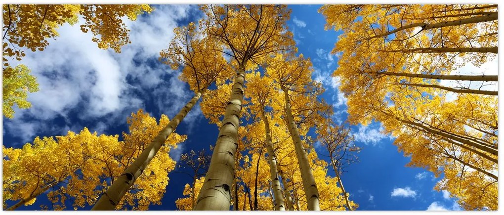 Tablou - Aspen (120x50 cm)