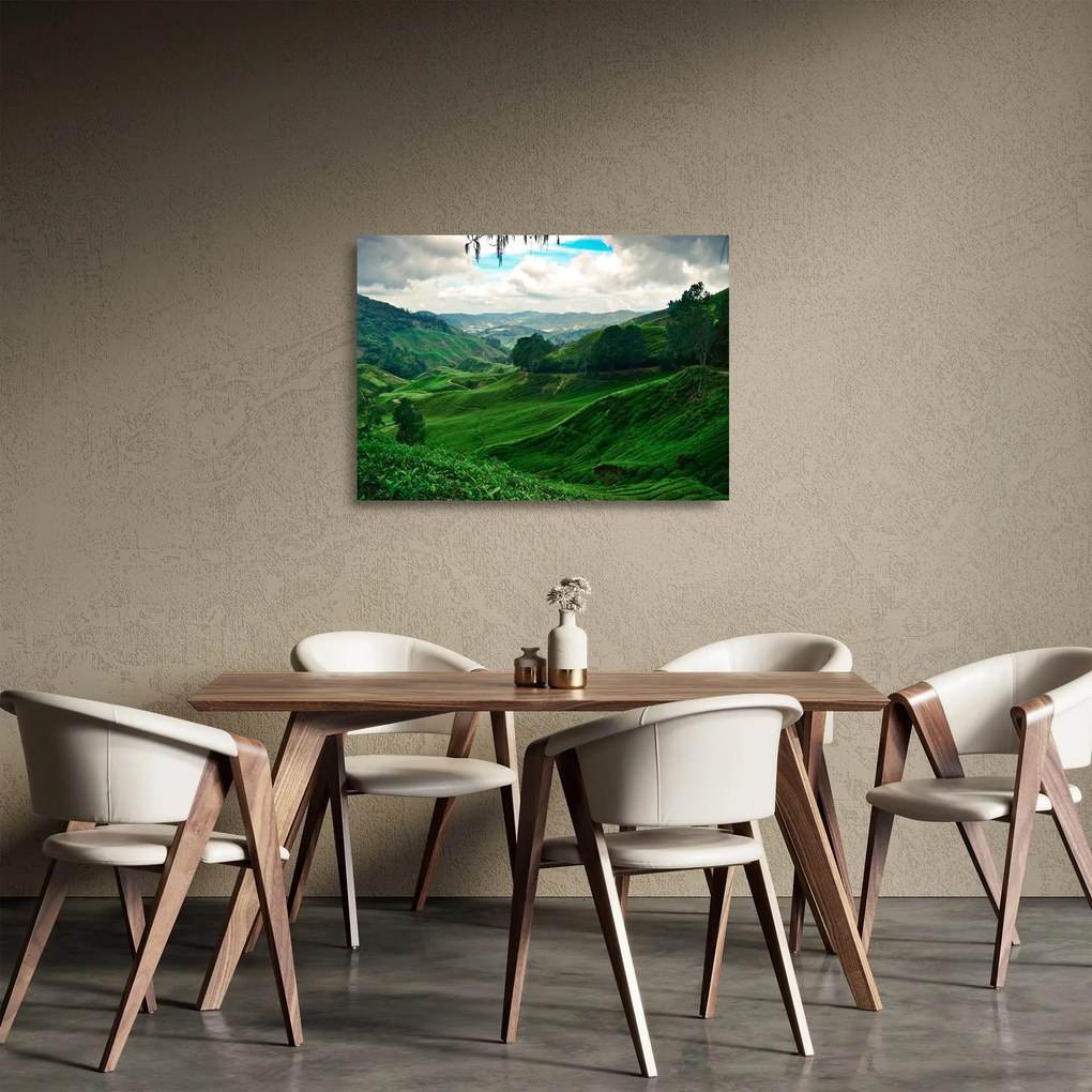 Tablou pe sticlă Plantații de ceai - Malaezia (70x50 cm)