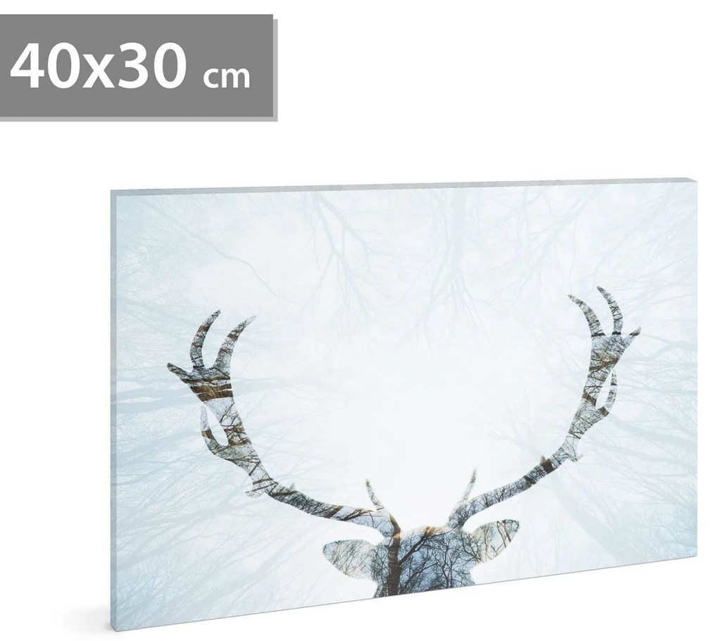 Tablou decorativ LED, cu ren - 40 x 30 cm