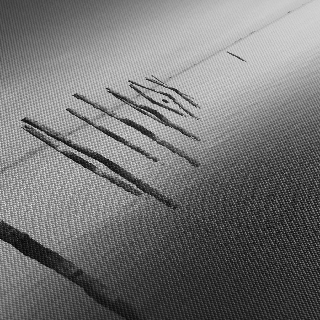 Tablou cu nivelul de lac alb negru (120x50 cm)