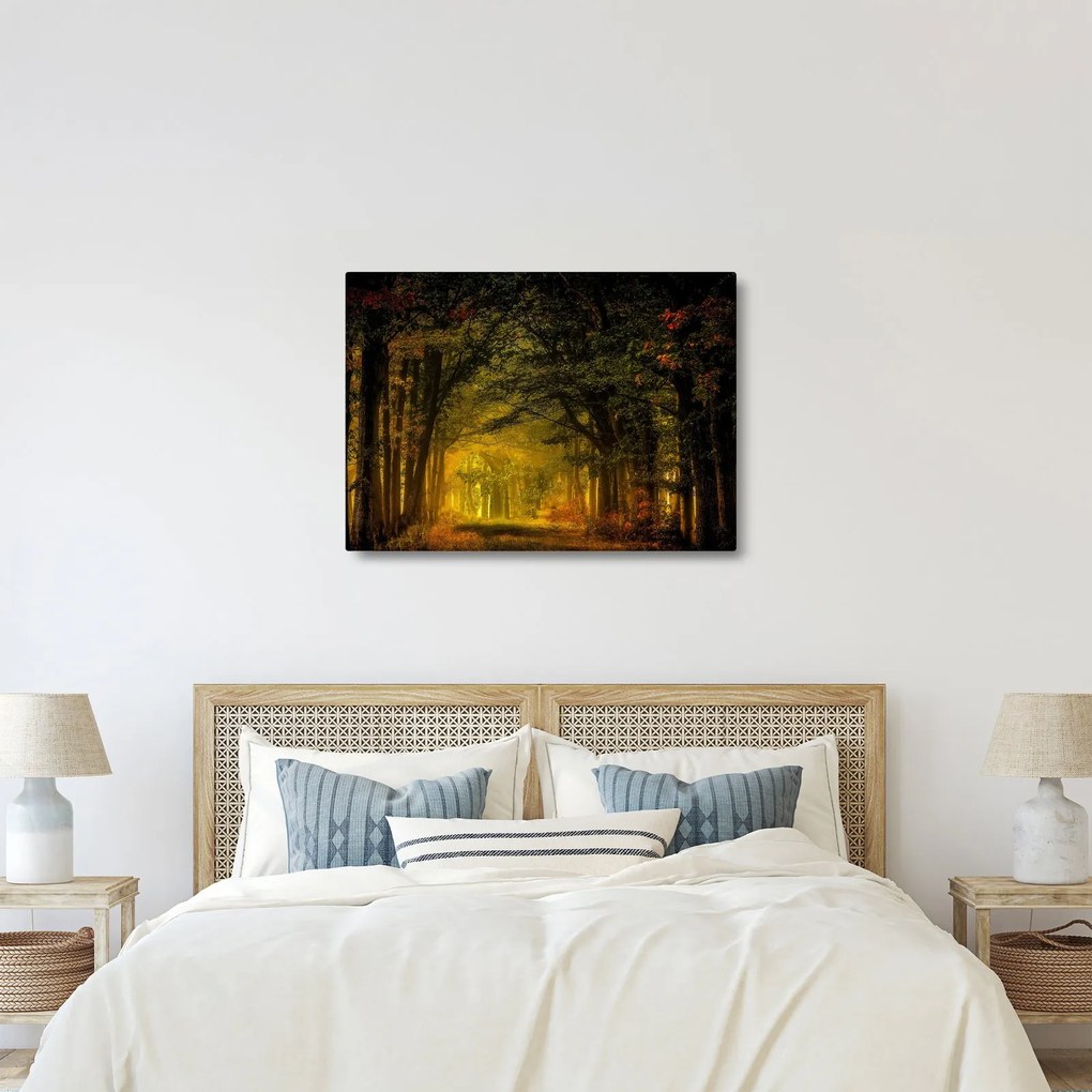 Tablou cu pădure (70x50 cm)