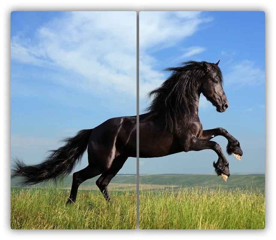 Tocator din sticla cal negru în lunca