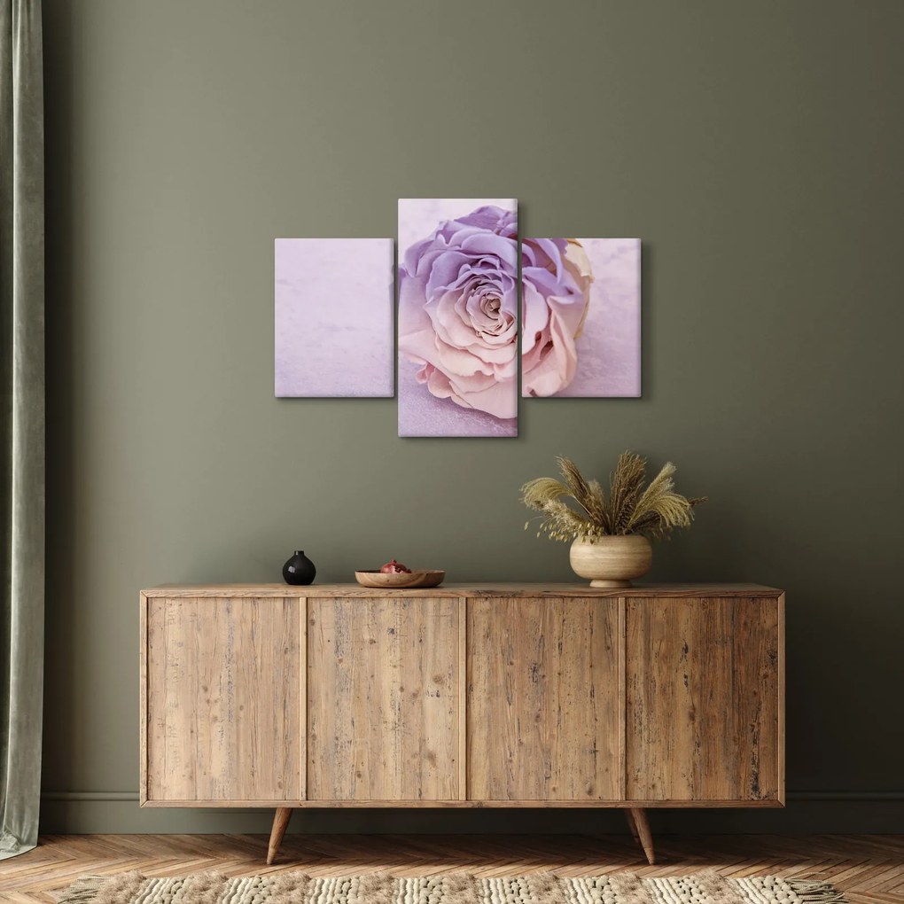 Tablou detaliu florii de trandafir (90x60 cm)