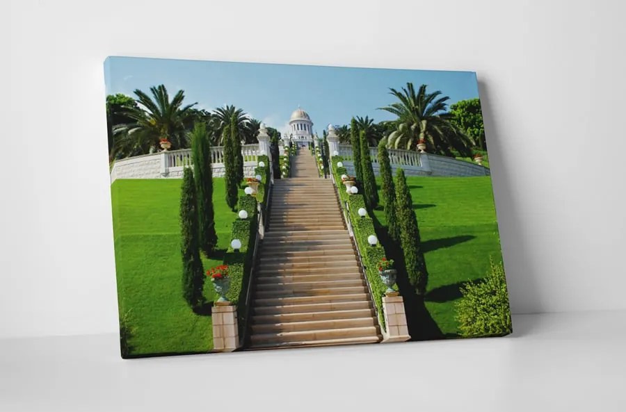 Tablou canvas : Gradina frumoasa
