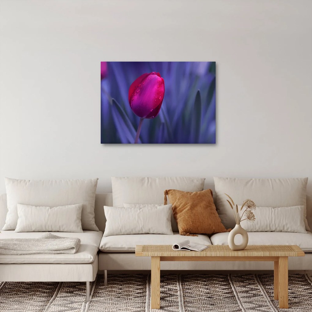 Tablou mugure de lalea (70x50 cm)