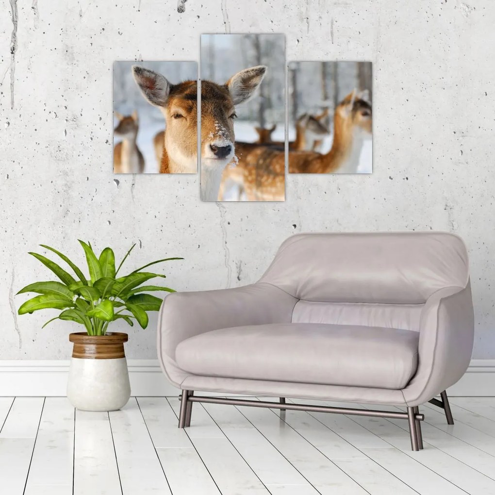 Tablou - Cerbi (90x60 cm)