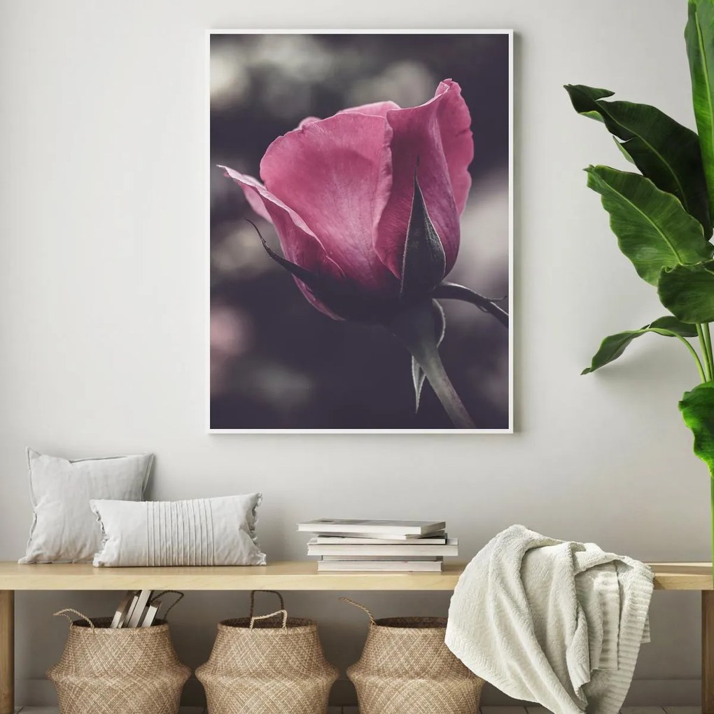 Poster - Floarea de trandafir (A4)