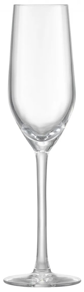 Set 6 pahare sampanie 160ml, Verre