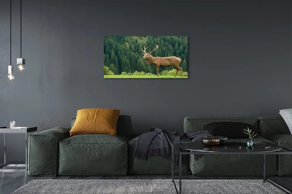 Tablouri canvas Deer în domeniu