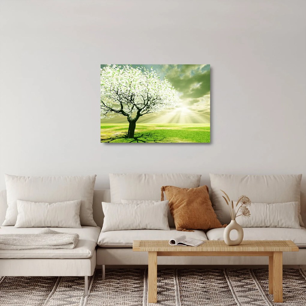 Tablou pe sticlă cu copaci pe luncă (70x50 cm)