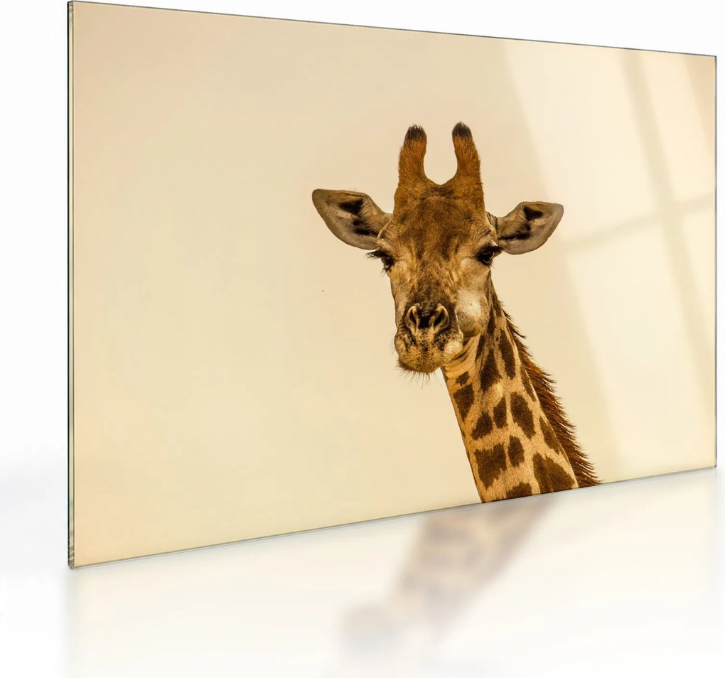 Tablou pe sticlă cu girafe (70x50 cm)