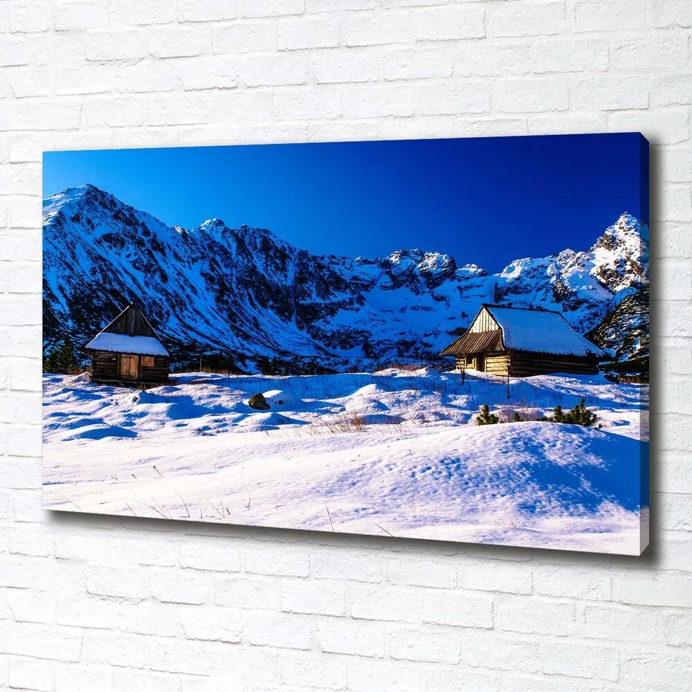 Print pe pânză Case în munții tatra