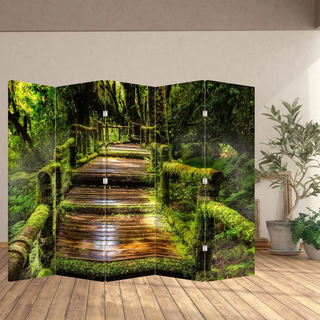 Paravan - Scări într-o pădure tropicală (210x170 cm)