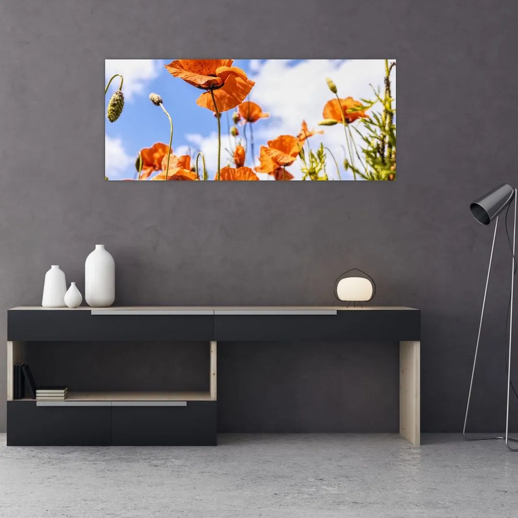 Tablou cu macii (120x50 cm)