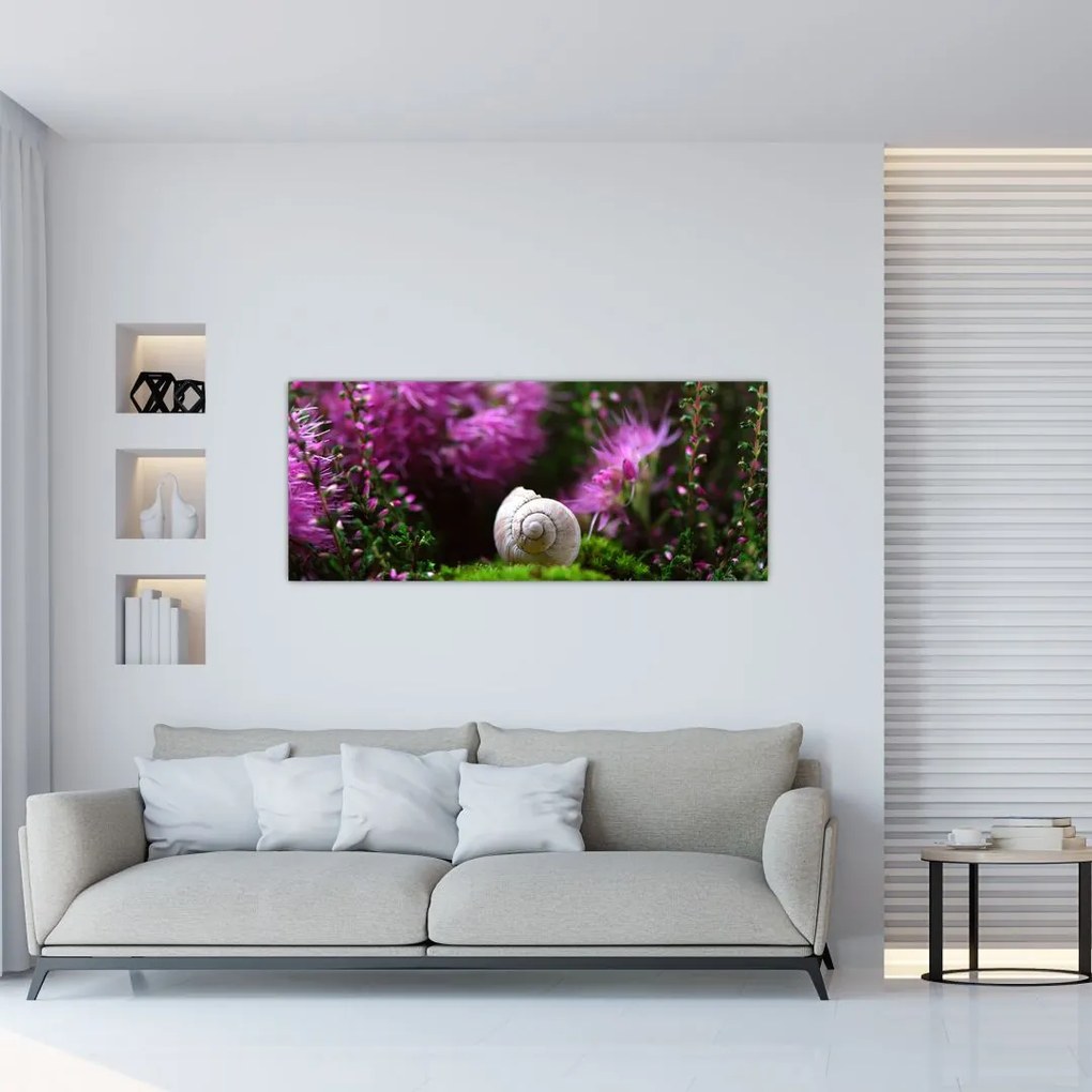 Tablou - Cochilie de melc (120x50 cm)
