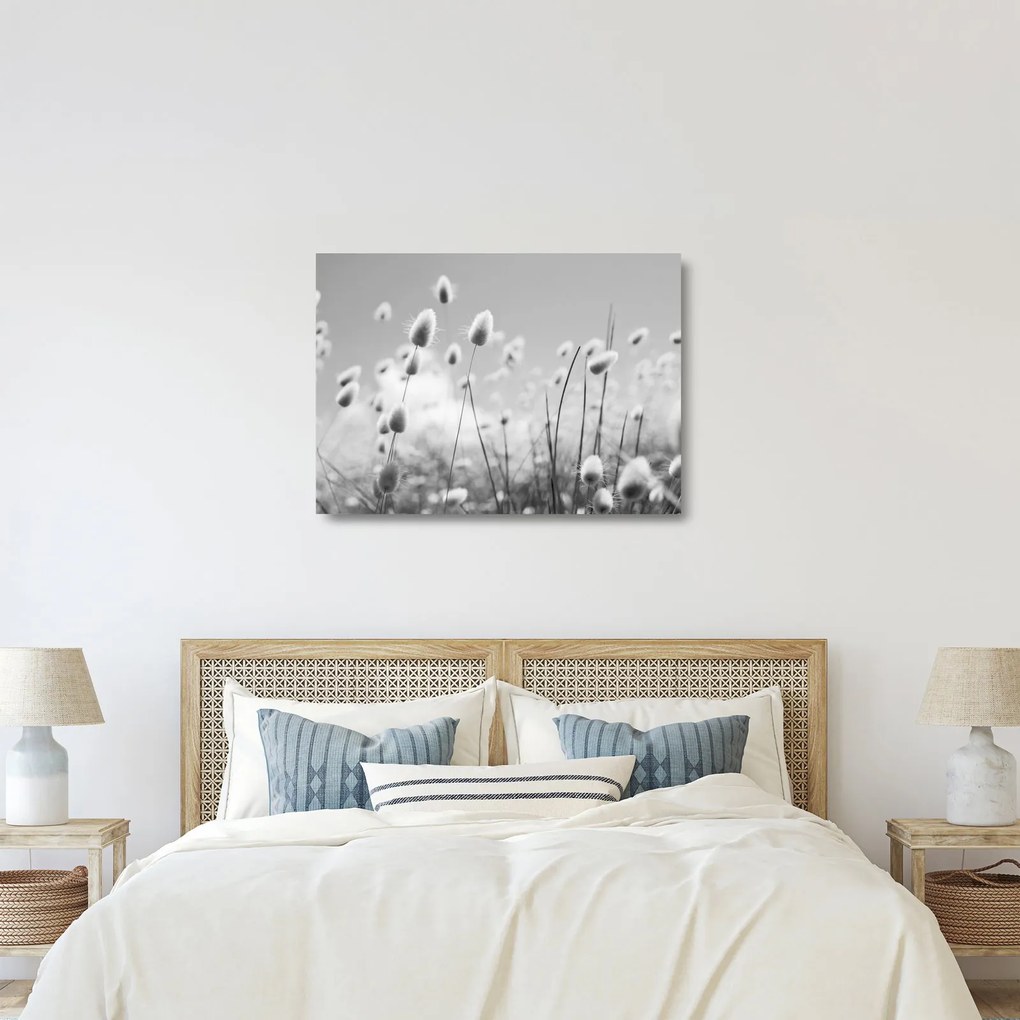 Tablou pe sticlă - Boho iepuraș coadă de iarbă (70x50 cm)