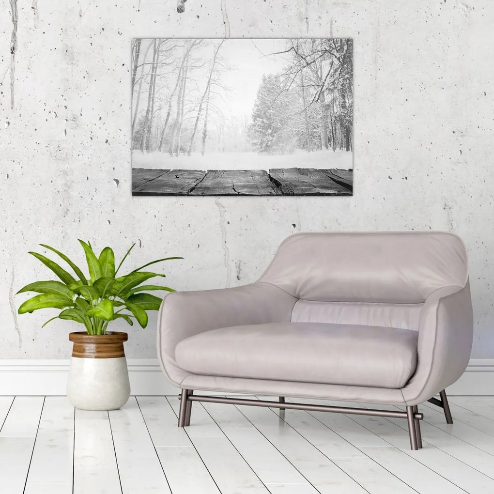 Tablou - Pier de lemn în timpul iernii (70x50 cm)