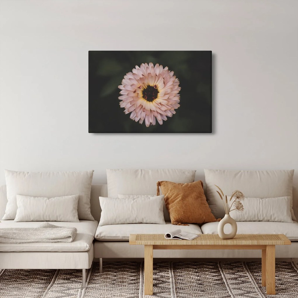 Tablou cu floare portocalie (90x60 cm)