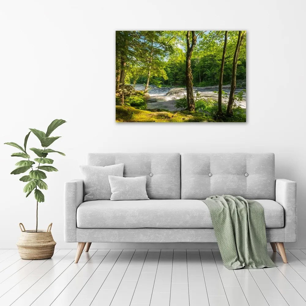 Print pe canvas Râul în pădure