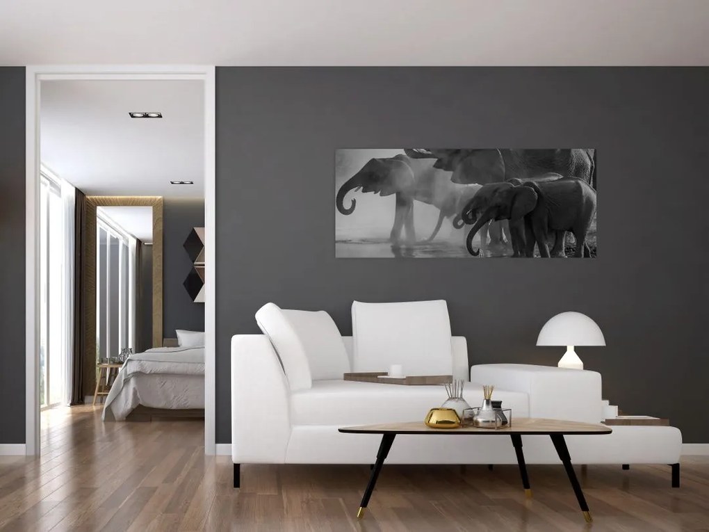 Tablou cu elefanți - albnegru (120x50 cm)