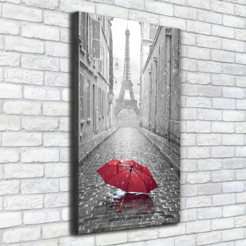 Pictură pe pânză Umbrelă Franța