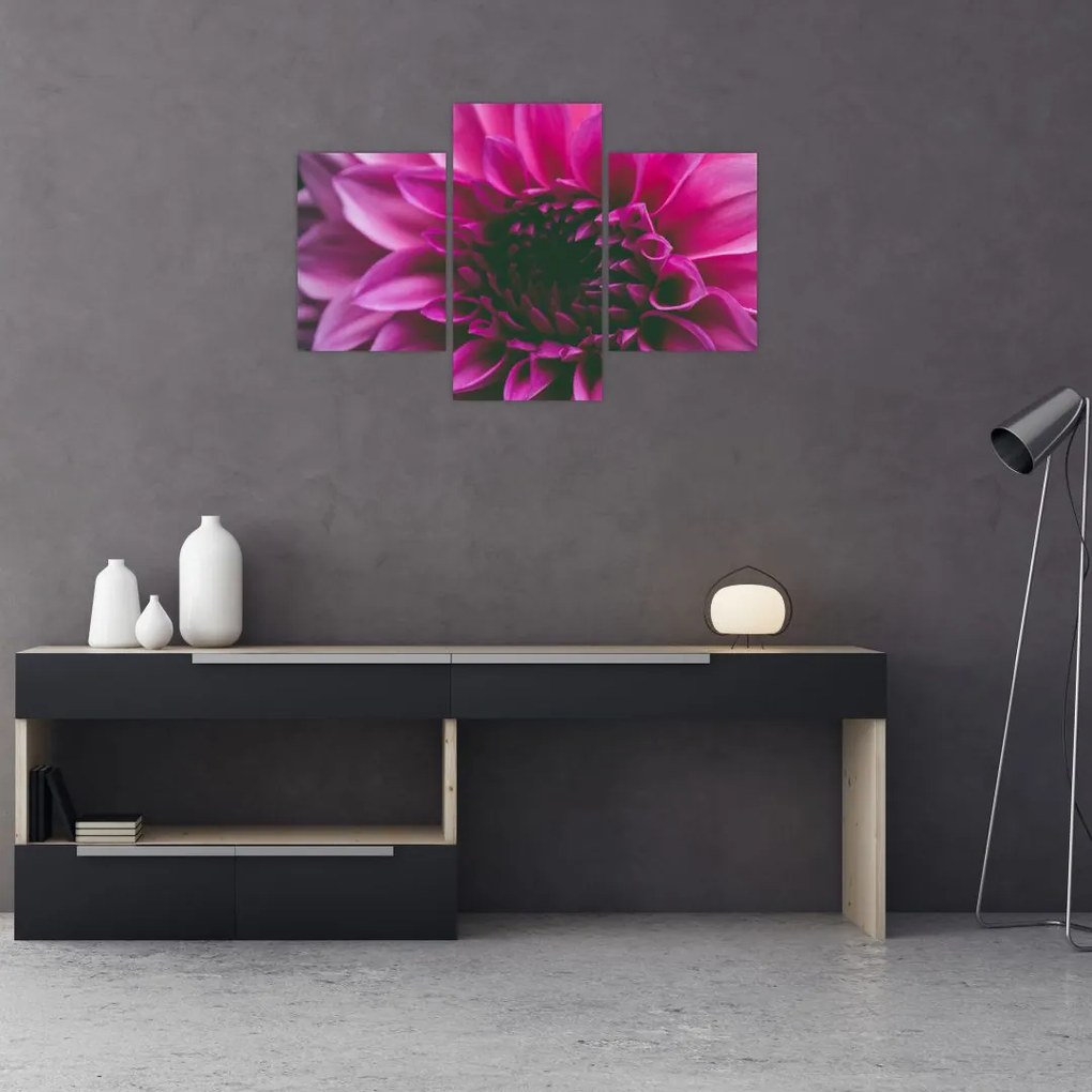 Tablou cu floarea roz (90x60 cm)
