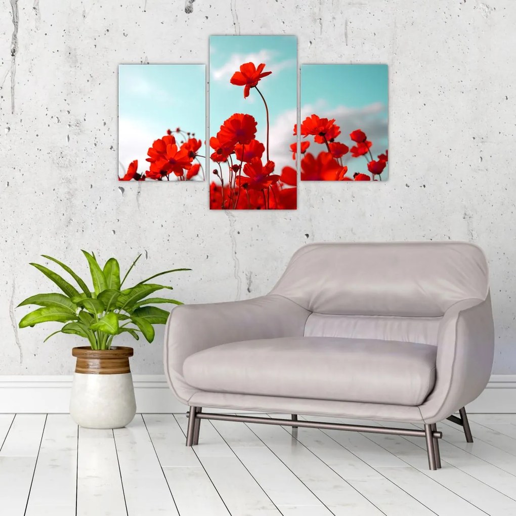 Tablou - Câmp cu flori roșu deschis (90x60 cm)