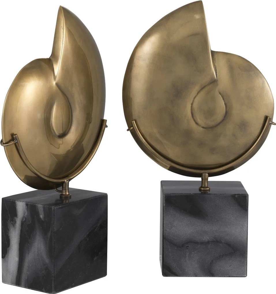 Set 2 obiecte decorative design deosebit LUX Ammonite 113731 HZ