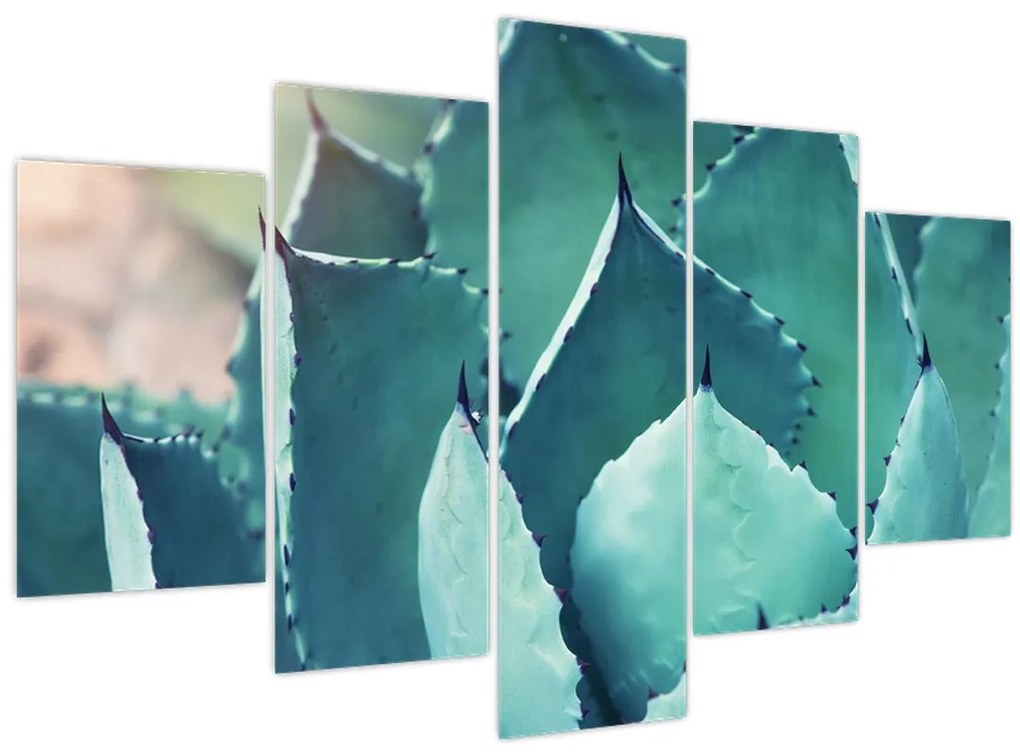 Tablou - Suculent (150x105 cm)