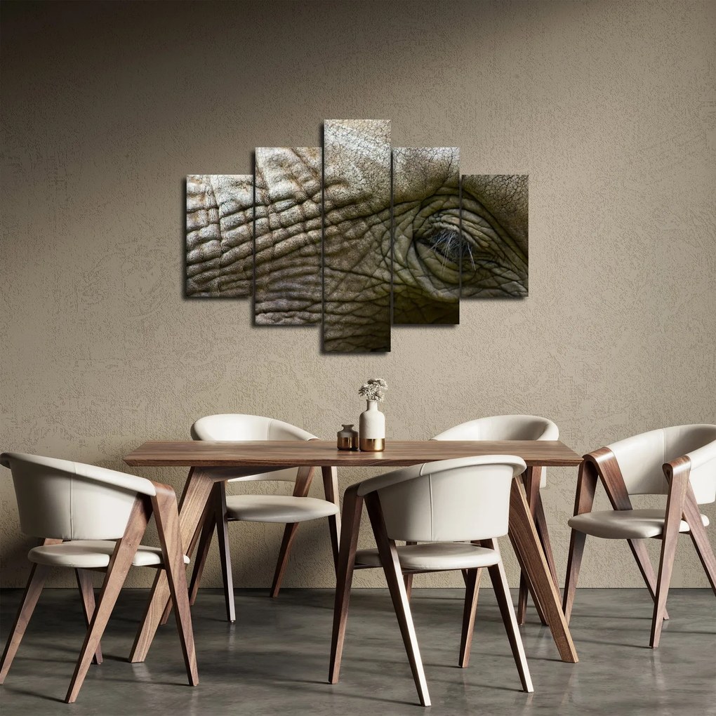 Tablou - Prim-planul ochiului de elefant vechi (150x105 cm)